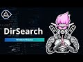Dirsearch en Windows Ninjutsu: Cómo descubrir rutas ocultas y archivos sensibles en un sitio web
