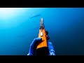 Spearfishing Is The Most Sustainable Way To Harvest Food (We Made Our Own Spearguns) - Ep 236