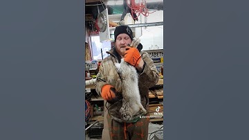 Easy way to dispatch a Rabbit!