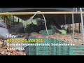 Negocios Verdes: Guía de Emprendimiento Sostenible en Colombia - TvAgro por Juan Gonzalo Angel