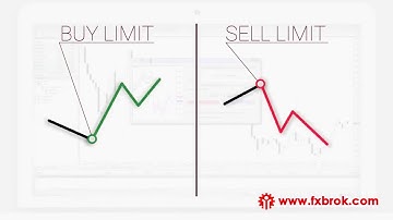 Торговая платформа MT4: краткая инструкция для самостоятельного трейдинга
