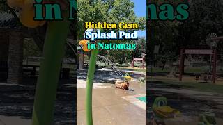 Witter Ranch Park: Sacramento's Hidden Splash Pad Gem 🦆💦