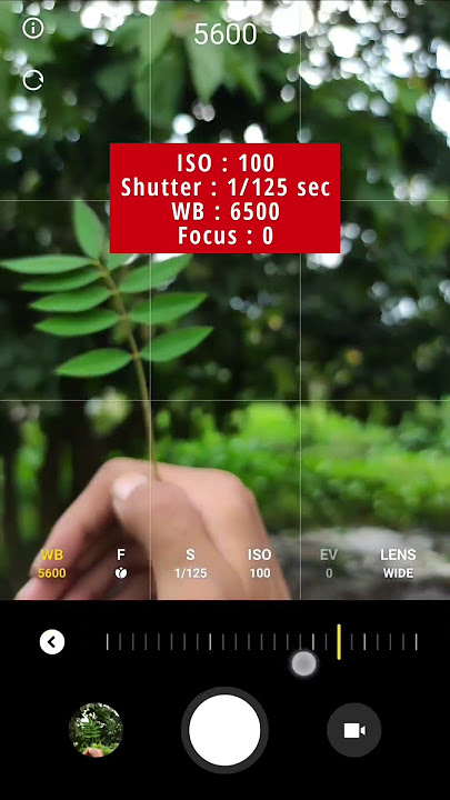 Try this Bokeh photography with phone📱#mobilephotography #share#like #indian #viral #subscribe#hard