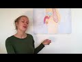 Pubertäts-Basics: Was sind feuchte Träume?