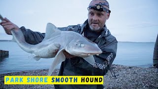 Beach Fishing - Huge Smooth Hounds 🦈