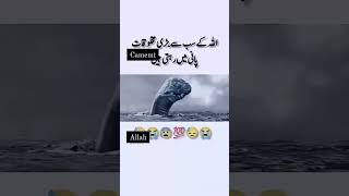 jami maili nahi hoti zaman maila nahi hota status