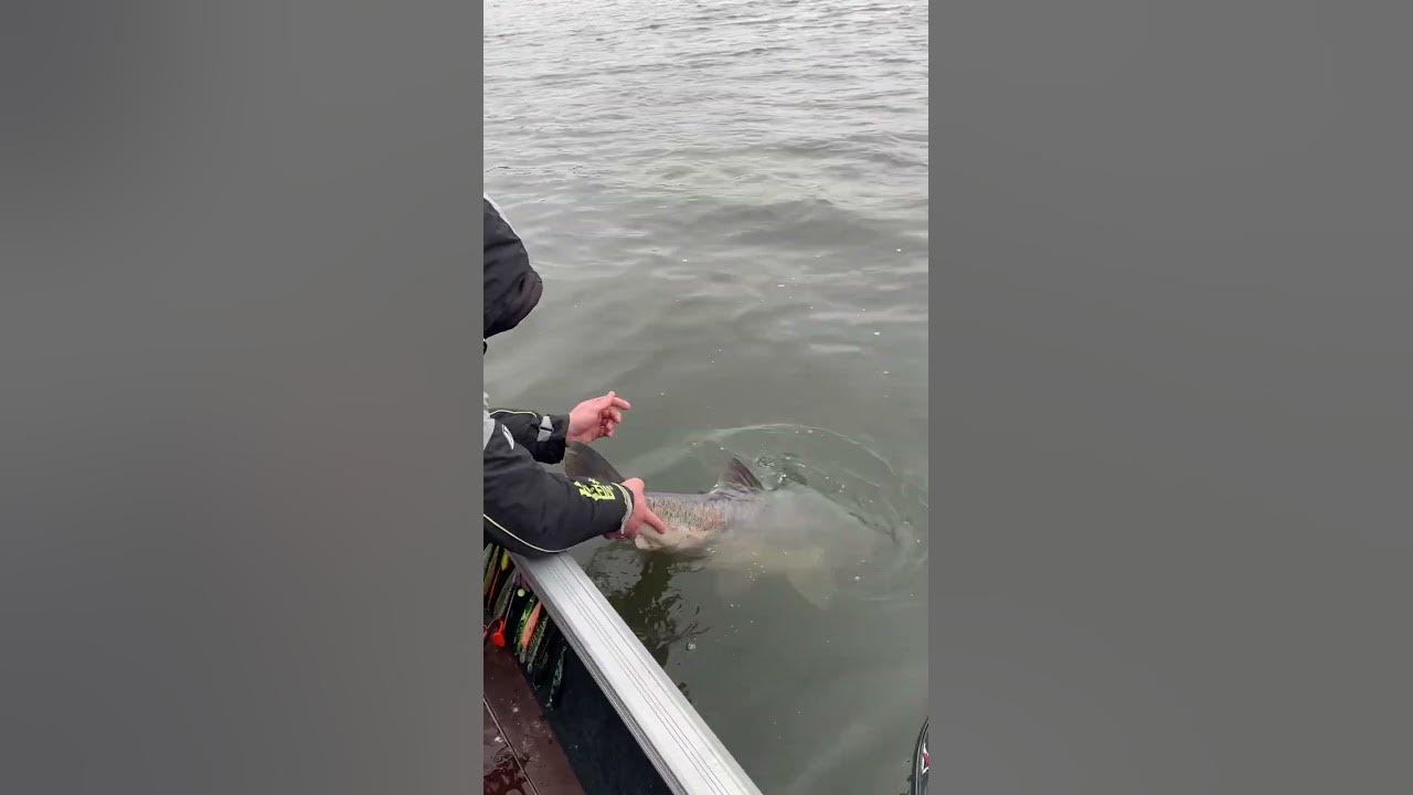 На что ловишь то и поймаешь Одноклассники