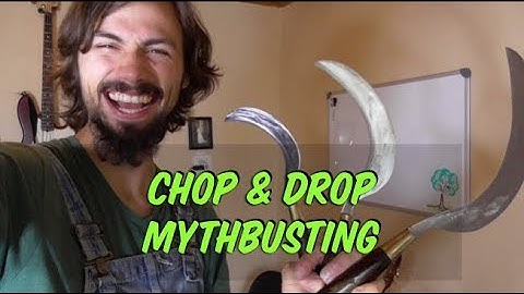 Permaculture Chop and Drop MYTH BUSTING with Matt Powers