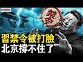 習近平親自下的禁令被打臉，迴旋鏢來了！北京頂級商圈空成鬼城，中產被逼上街擺攤；八部委急發紅頭文件，三屆大學生一起失業【新聞看點 李沐陽6.5】#新聞看點 #李沐陽