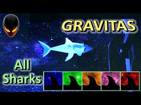 GRAVITAS : All Sharks