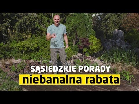 Wideo: Świerk 