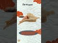 Tutti amano il pesce e le patatine fritte. - MIWA SRL- #Shorts