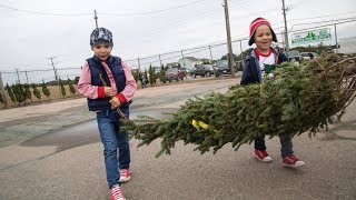 Troops receive free Christmas trees