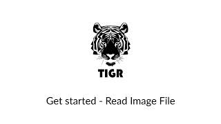 Get started - Read Image File with TIGR vision toolkit for LabVIEW