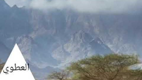 سورة الصافات مكرره، سبع مرات، فارس عباد،،،