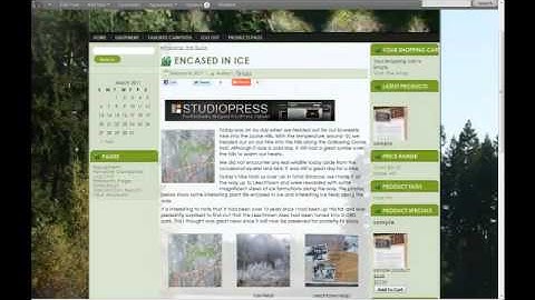 WordPress Plugins from A to Z screen cast on Simple Ads Manager