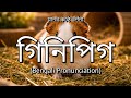 👉 How To Say: গিনিপিগ - Bengali Pronunciation