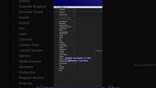 "Missing Panels Fix" - Easily restore missing panels in Premiere Pro.