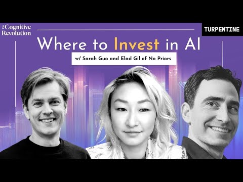 E21: VC Insights on Investing in Artificial Intelligence with Sarah Guo and Elad Gil of No Priors Podcast