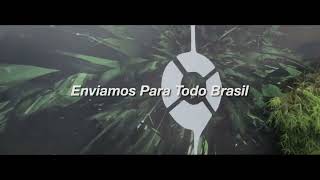 Grow Power Cultivo indoor CUPOM10%OFF PAINEL LED ESTUFA FILTRO CARVÃO ATIVADO FERTILIZANTES CANNABIS
