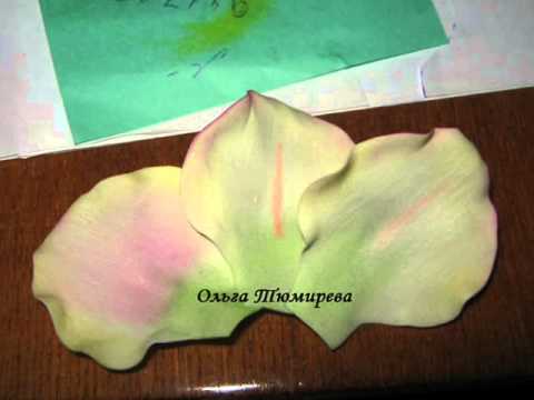 Мастер класс цветочка гладиолуса из фома(фоамирана)