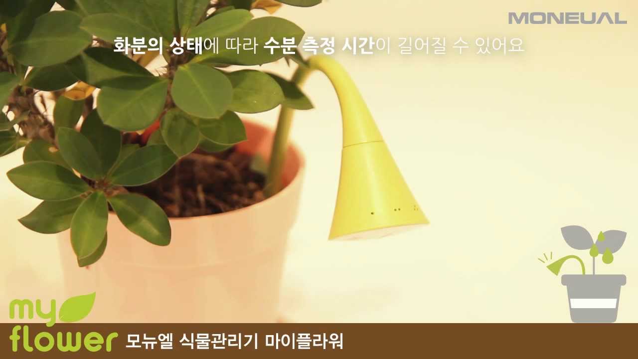 [MONEUAL] 모뉴엘 수분알리미 마이플라워 사용법 안내 MyFlower MF100