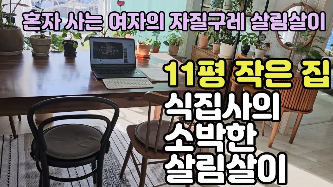 (50대 1인가구 vlog) ROOM TOUR / 플렌테리어로 아늑한 집 꾸미기/재활용과 다이소 제품으로 꾸민 11평 작은 집
