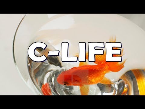 C LIFE review