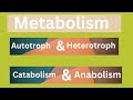 Metabolism | Catabolism | Anabolism | Autotrophs | Heterotrophs |