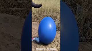 Coca Cola and mentos vs Giant Balloon