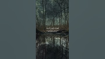 #القرآن_الكريم #تلاوة_خاشعة #راحة_نفسية #ترند #المصحف