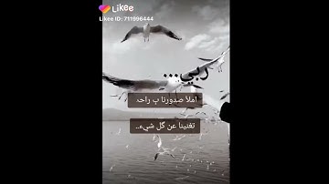 حالات واتس اب دينية تلاوة هادئة ومريحة للنفس