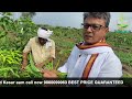 Agro earth  kesar aam farming german  israel technology mango hindi jul 2021