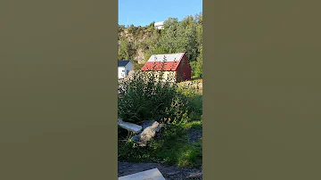 سحر الشواطئ النرويجية The Enticing Of Norwegian Beaches Shorts 