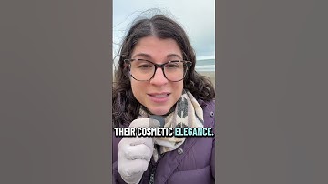 🚨 HUGE sunscreen update! The FDA just proposed a new UV filter — bemotrizinol — that hasn’t been