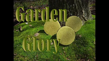 Making Garden Glory - St Patrick Green Cold Process