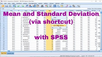 SPSS - Mean and Standard Deviation (via shortcut)