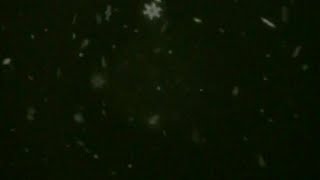 Snow particles video layer 🔥 black Screen 🔥 green screen Templates 🔥 Cool Templates 🔥 screenshot 5