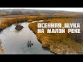 ЩУКА НА СПИННИНГ - БЛЕСНА ПРОТИВ ВОБЛЕРА // РЫБАЛКА НА МАЛЫХ РЕКАХ ОСЕНЬЮ 2019