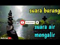Suara Burung Suara Air Mengalir Cocok Buat Terapi Burung Yang Stres Macet Bunyi Mp3 - Mp4 Download