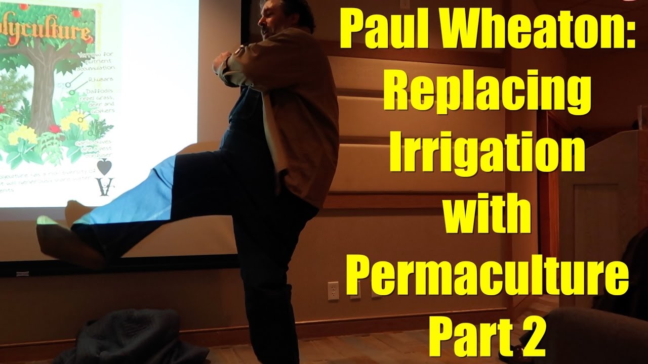 Replacing Irrigation with Permaculture by Paul Wheaton Part 2 of 3