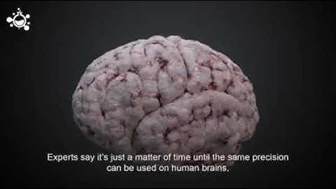 Memory Manipulation is Becoming a Reality