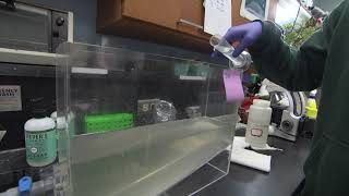 The Science of Wastewater Lab Part 10: Day 2. Advanced Treatment