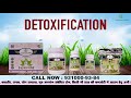 Detoxification: Benefits of Detox and Cleanse Your Body Naturally | Ayurvedic Treatment.