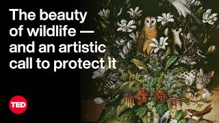 The Beauty Of Wildlife - And An Artistic Call To Protect It Isabella Kirkland Ted