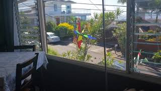 Awesome reviews Room for rent in Honolulu Hawaii