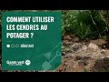 [TUTO] Comment utiliser les cendres au potager ? – Jardinerie Gamm vert