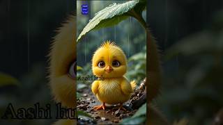 Little Chick Lost In Forestviral
