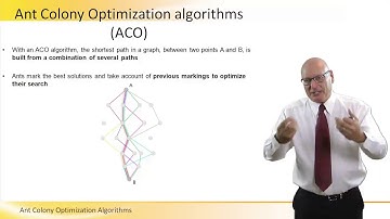 Ant Colony Optimization Algorithms - ACO
