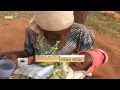 Siha Na Maumbile Meno Ya Plastiki Kwa Watoto Siha Na Maumbile Meno Ya Plastiki Kwa Watoto